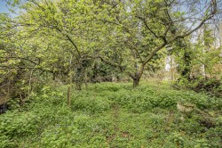Images for Button End, Harston