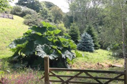 Images for Lanteglos, Fowey