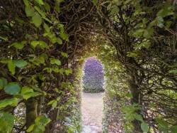 Images for Lanteglos, Fowey