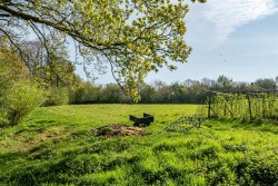 Images for Yelverton, Devon