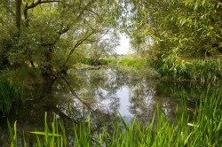 Images for Moorside, Sturminster Newton, Dorset