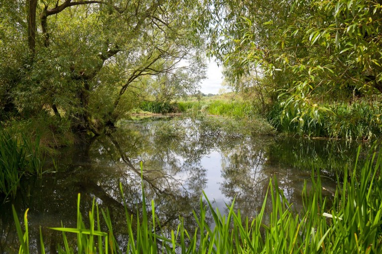 Images for Moorside, Sturminster Newton, Dorset