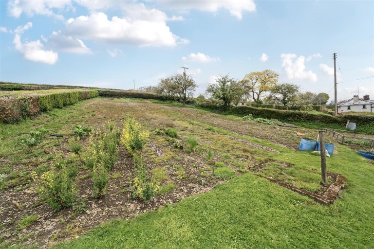 Images for Waddicombe