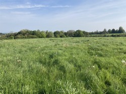 Images for Hazelbury Bryan, Sturminster Newton
