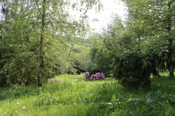 Images for Churchill, Axminster