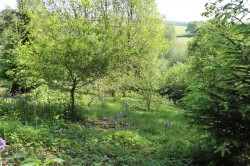 Images for Churchill, Axminster