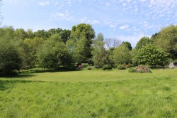 Images for Churchill, Axminster