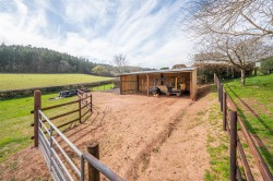 Images for Luccombe, Minehead
