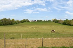 Images for Morchard Bishop, Crediton