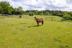 Images for Sleaford Road, Navenby