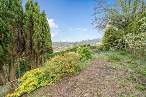 Click the photo for more details of Town Marsh, Dulverton