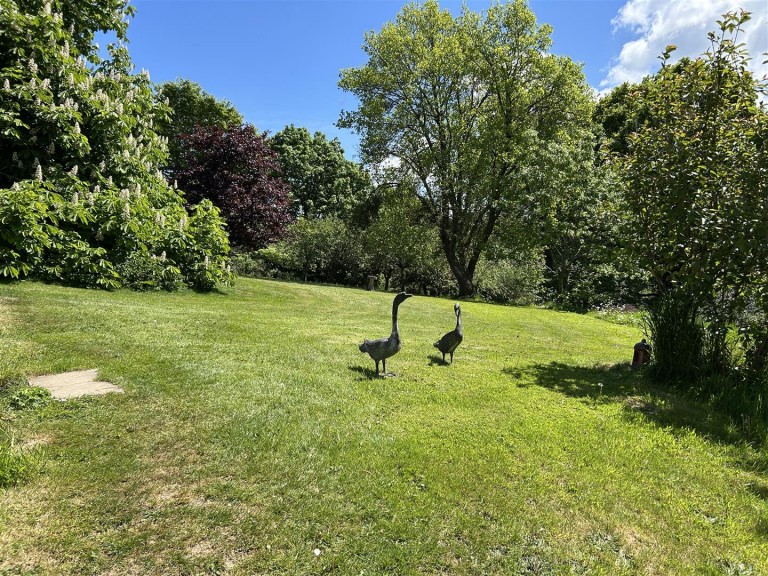 Images for Near Winkleigh