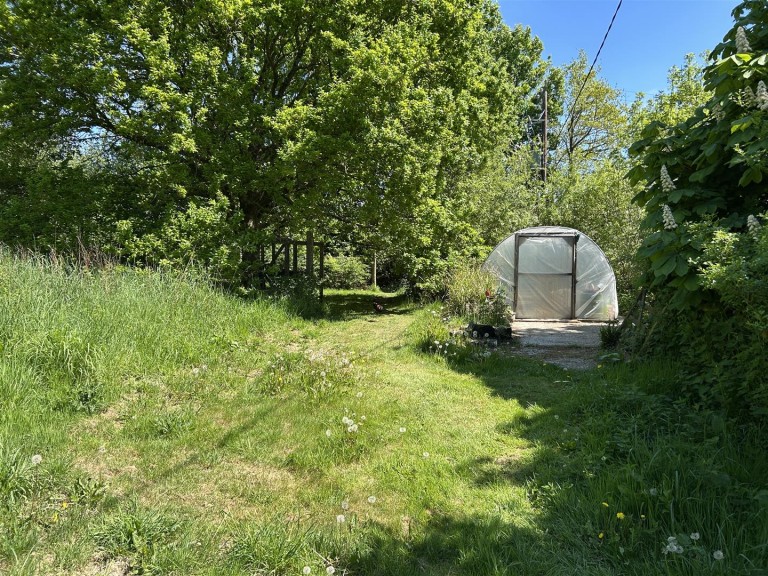 Images for Near Winkleigh