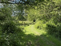 Images for Near Winkleigh