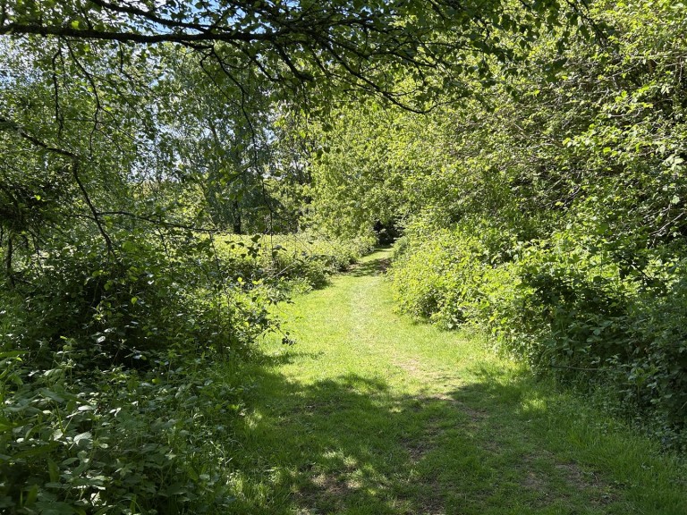 Images for Near Winkleigh