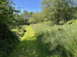 Images for Near Winkleigh