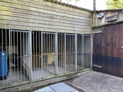 Images for Near Winkleigh