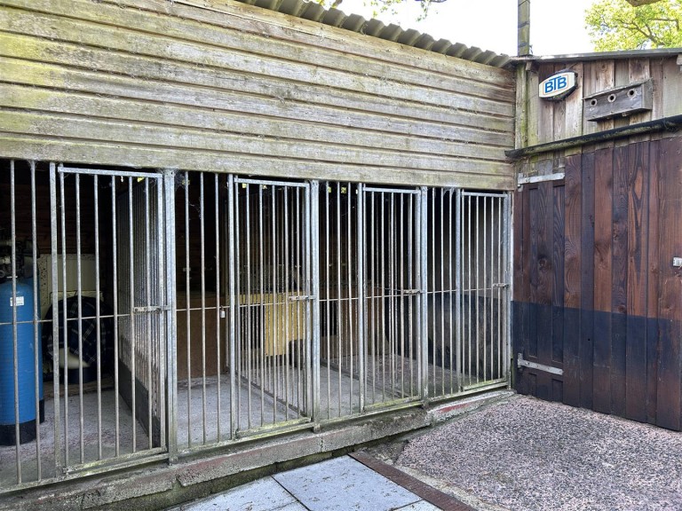 Images for Near Winkleigh
