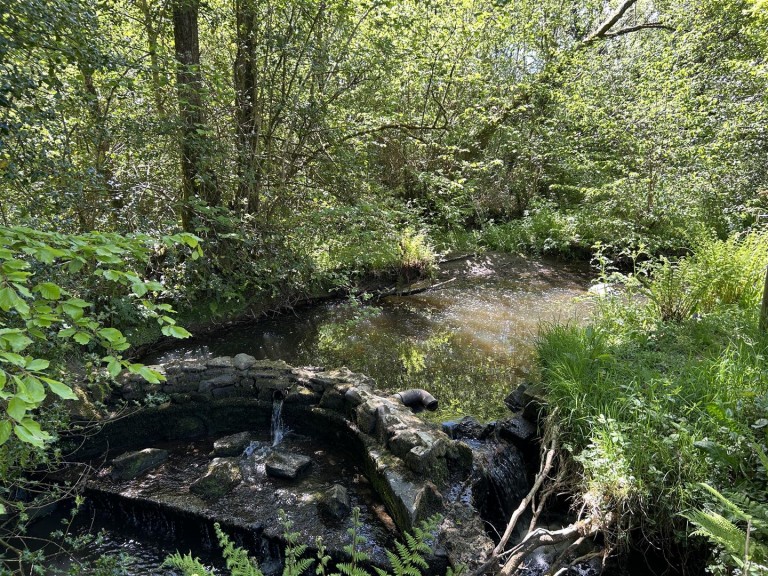 Images for Near Winkleigh