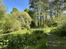 Images for Near Winkleigh
