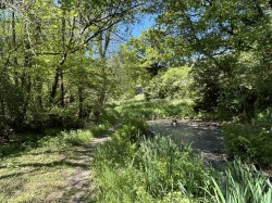 Images for Near Winkleigh