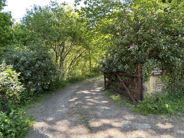 Images for Near Winkleigh
