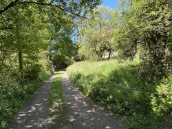 Images for Near Winkleigh