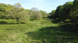 Images for Calloose Lane, Leedstown, Hayle
