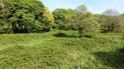 Images for Calloose Lane, Leedstown, Hayle