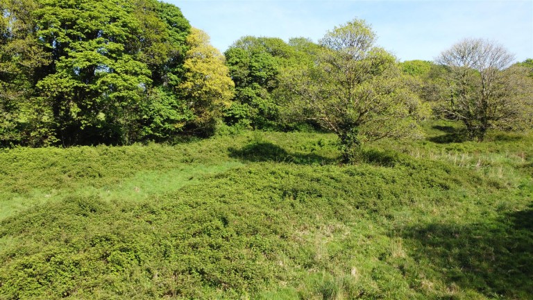 Images for Calloose Lane, Leedstown, Hayle