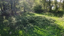 Images for Calloose Lane, Leedstown, Hayle
