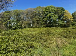 Images for Calloose Lane, Leedstown, Hayle