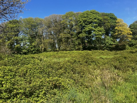 Click the photo for more details of Calloose Lane, Leedstown, Hayle