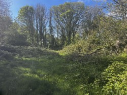 Images for Calloose Lane, Leedstown, Hayle