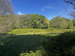 Images for Calloose Lane, Leedstown, Hayle