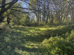 Images for Calloose Lane, Leedstown, Hayle