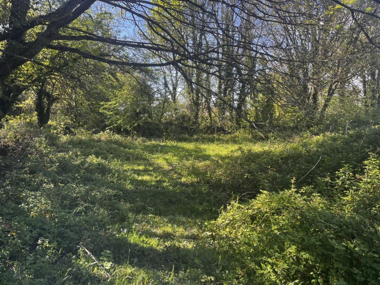 Images for Calloose Lane, Leedstown, Hayle