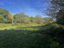 Images for Calloose Lane, Leedstown, Hayle