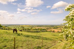 Images for Far Lane, Coleby