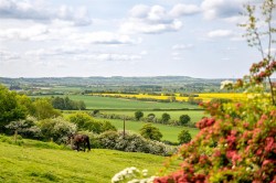 Images for Far Lane, Coleby
