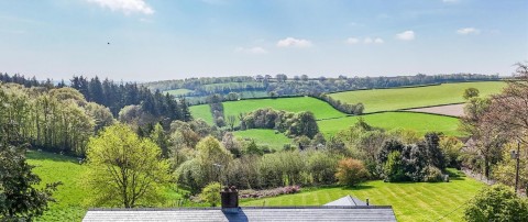 Click the photo for more details of Chipstable, Taunton