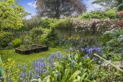 Images for Bovey Tracey, Newton Abbot