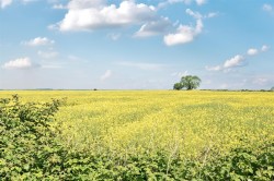 Images for Bugbrooke Road, Gayton, NN7
