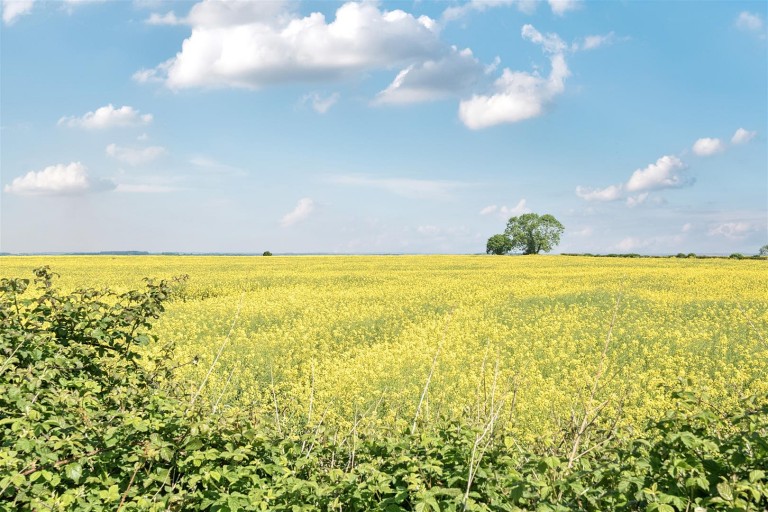 Images for Bugbrooke Road, Gayton, NN7