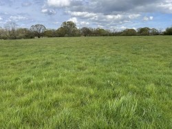 Images for Westwood, Broadclyst