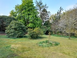 Images for Hawkchurch, Axminster