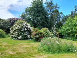 Images for Hawkchurch, Axminster