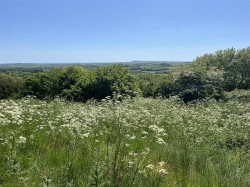 Images for Lot B - Land at Winter Lane, Waddon, Portesham
