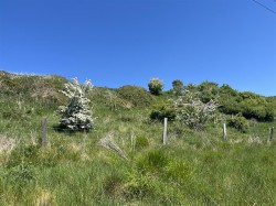 Images for Lot B - Land at Winter Lane, Waddon, Portesham