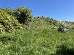 Images for Lot B - Land at Winter Lane, Waddon, Portesham